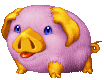 Pig ♀