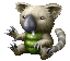 Koala ♀