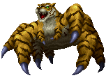 Tiger ♂