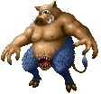 Boar ♂