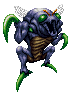 Mantis ♂