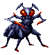 Ant ♂