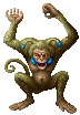 Monkey ♂