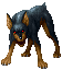 Dog ♀