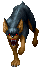 Dog ♂