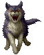 Wolf ♀