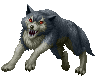 Wolf ♂
