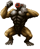 Gorilla ♂
