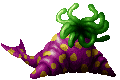 Hydra ♀