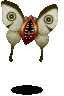Moth ♂