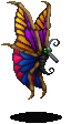 Butterfly ♀