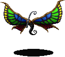Butterfly ♂