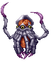 Squid ♀