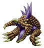 Crocodile ♀