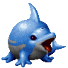 Dolphin ♂