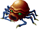 Octopus ♀