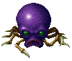Octopus ♂