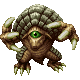 Armadillo ♀