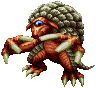 Armadillo ♂