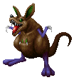 Kangaroo ♀