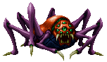 Spider ♂