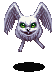 Rabbit ♂