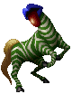 Zebra ♂