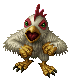 Chicken ♀