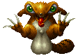Tanuki ♂