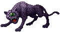 Leopard ♀