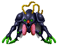 Cockroach ♂