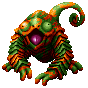 Chameleon ♂
