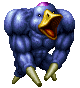 Duck ♂