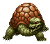 Turtle ♀