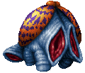 Clam ♂