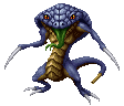 Cobra ♂