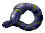 Earthworm ♀