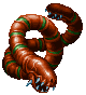 Earthworm ♂